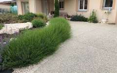 Cour en bton decoratif