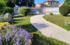 Allée de jardin